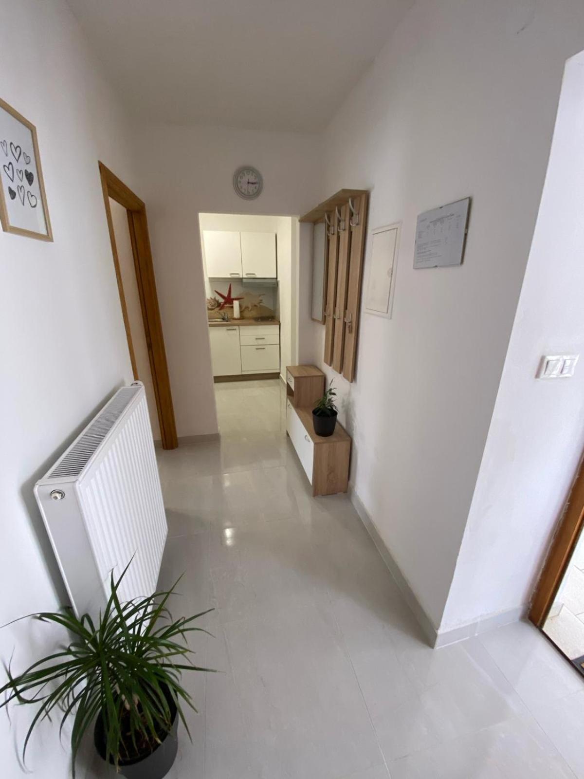 Apartmani Radosav Šilo Buitenkant foto